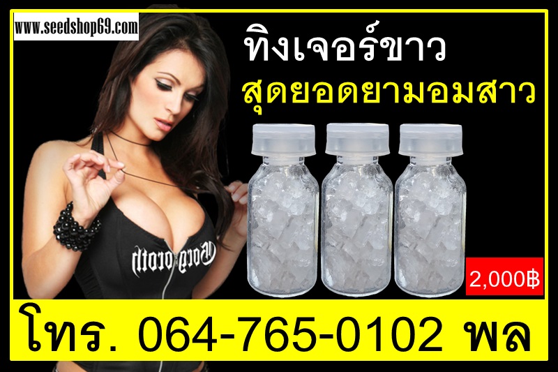 ทิงเจอร์ขาว-สุดยอดยาปลุกอารมณ์ผู้หญิง